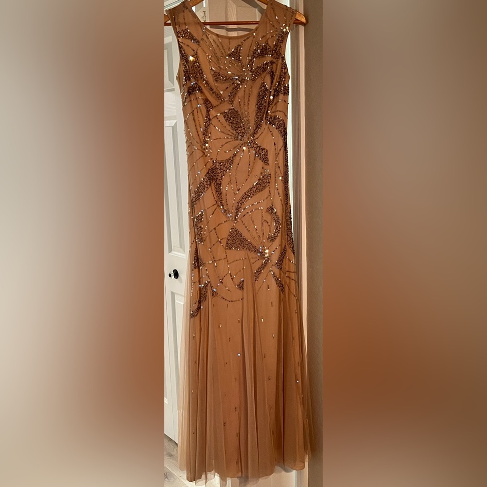 Adrianna Papell Evening Gown